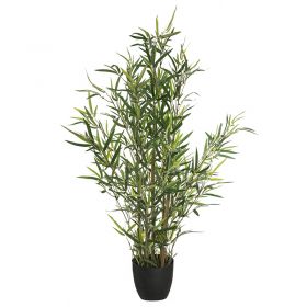 Φυτό σε γλάστρα Green10 63x55x90εκ