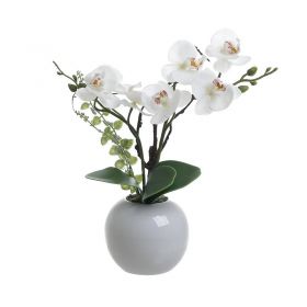 INART ΛΟΥΛΟΥΔΙ ΣΕ ΓΛΑΣΤΡΑ ΛΕΥΚΟ Υ30